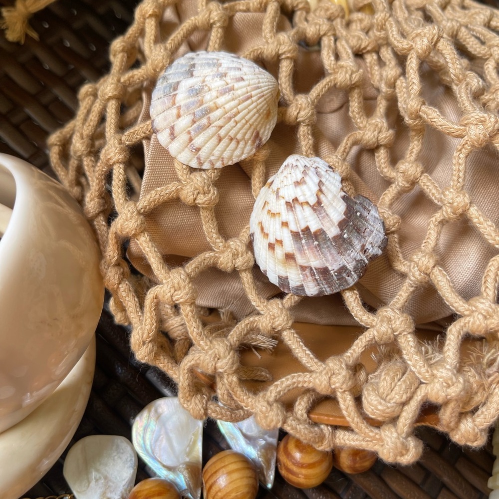 Natural Seashell earrings